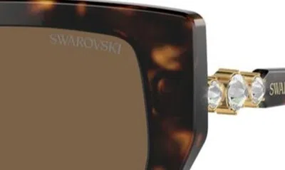 Swarovski Constella 56mm Polarized Irregular Sunglasses In Dark Havana