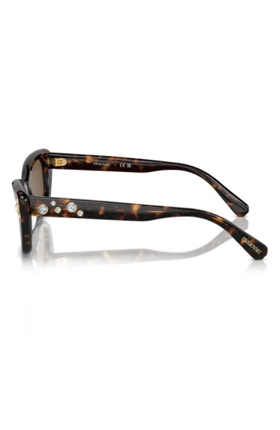 Swarovski 54mm Constella Cat Eye Sunglasses In Havana
