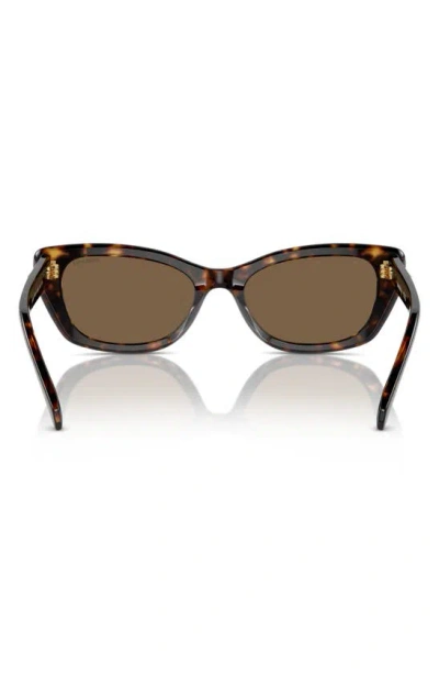Swarovski 54mm Constella Cat Eye Sunglasses In Havana