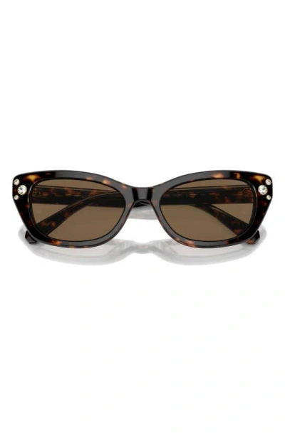 Swarovski 54mm Constella Cat Eye Sunglasses In Havana