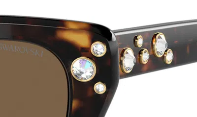 Swarovski 54mm Constella Cat Eye Sunglasses In Havana
