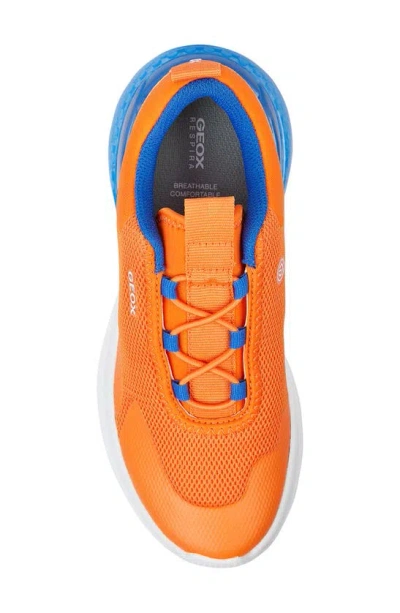 Shop Geox Kids' Activart Illuminus Light-up Sneaker In Orange