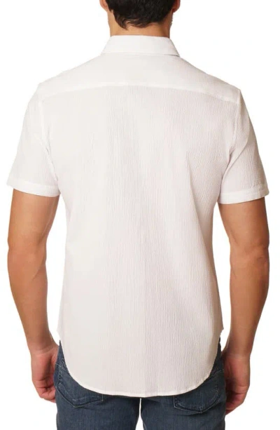 Robert Graham Gilford Short Sleeve Button Down Shirt In White