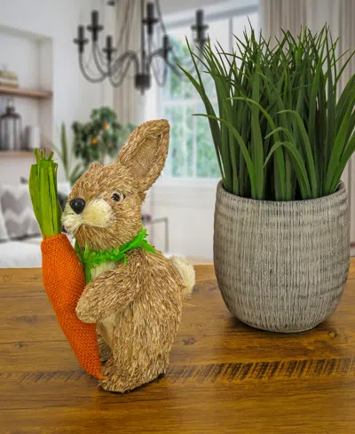 National Tree Company 12in Easter Bunny With Carrot In Brown