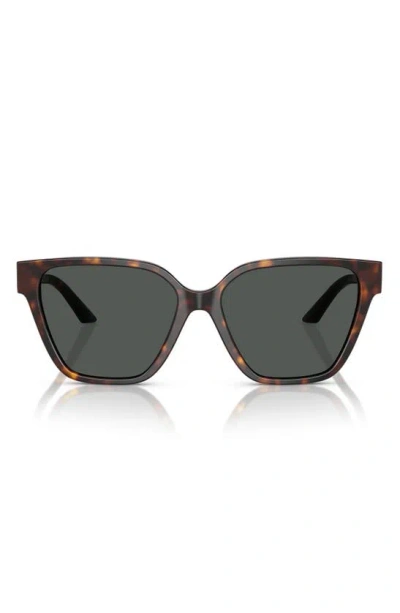 Versace Greca Strass Butterfly-frame Sunglasses In Havana
