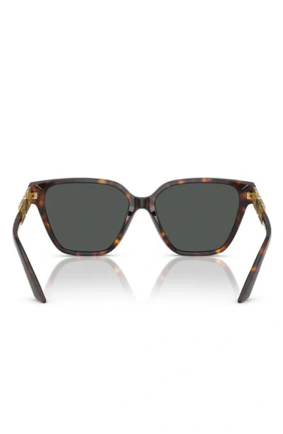 Versace Greca Strass Butterfly-frame Sunglasses In Havana