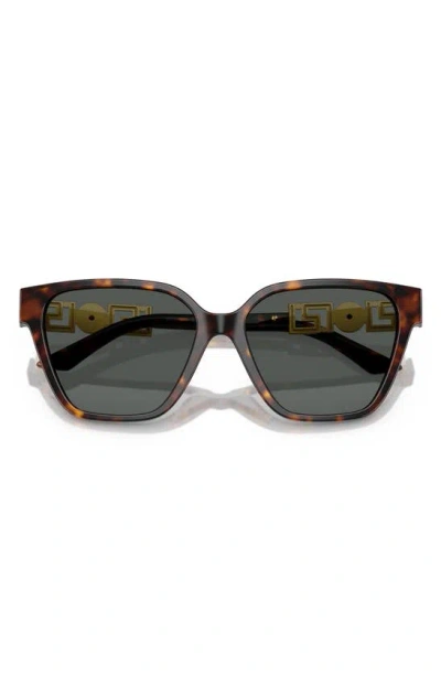Versace Greca Strass Butterfly-frame Sunglasses In Havana