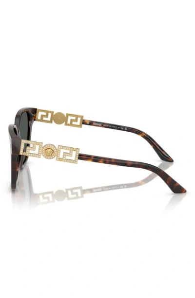 Versace Greca Strass Butterfly-frame Sunglasses In Havana