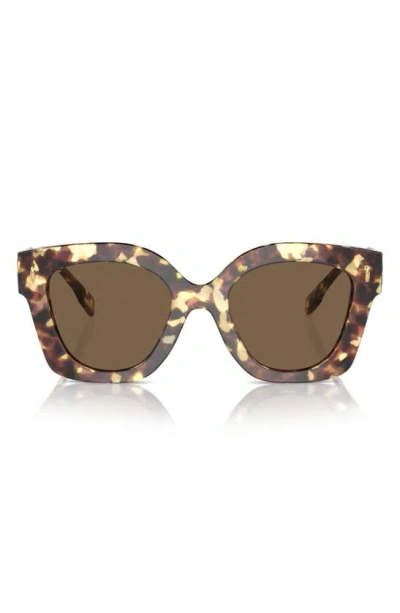 Shop Tory Burch 49mm Irregular Cat Eye Sunglasses In Dark Brown