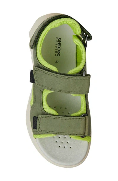 Shop Geox Kids' Airadyum Sandal In Military/ Lime
