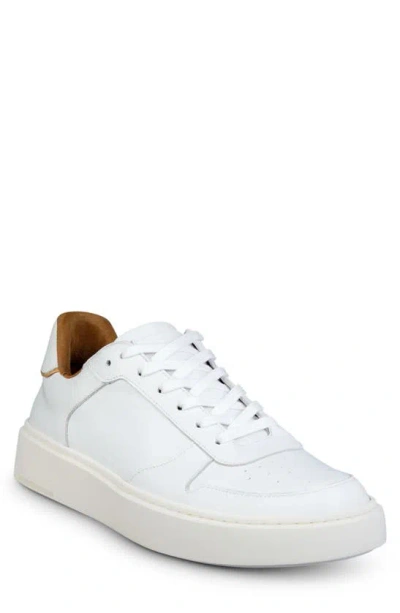 Shop Allen Edmonds Owen Sneaker In White