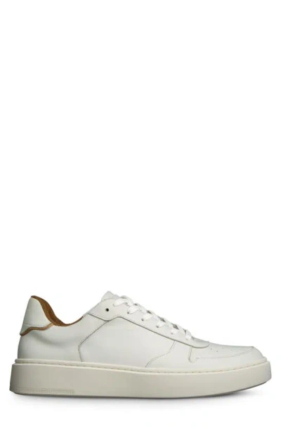 Shop Allen Edmonds Owen Sneaker In White