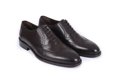 Shop Vellapais Anderson Oxford Dress Shoes In Brown