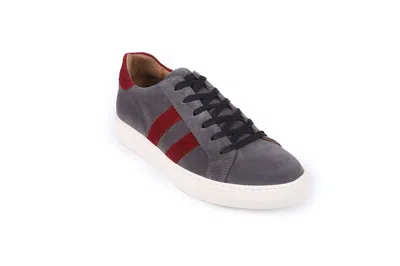 Shop Vellapais Palmetto Sneakers Grey