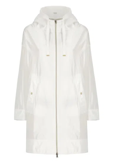 Shop Herno Coats White