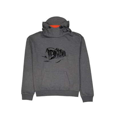 Shop Dior Logo Hooded Sweatshirt In Gray