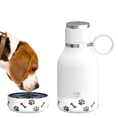 Shop Asobu White Dog Bowl Bottle