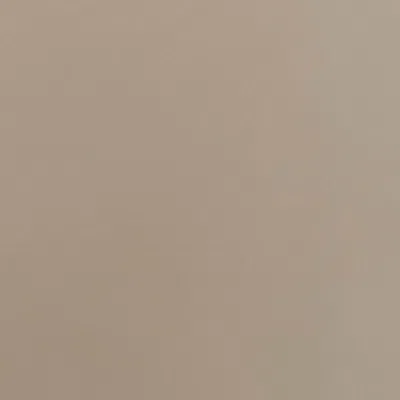 FRONTGATE ALUMINUM CHAMPAGNE SILVER 