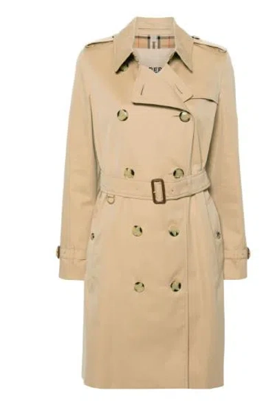 Shop Burberry Jackets In Honey