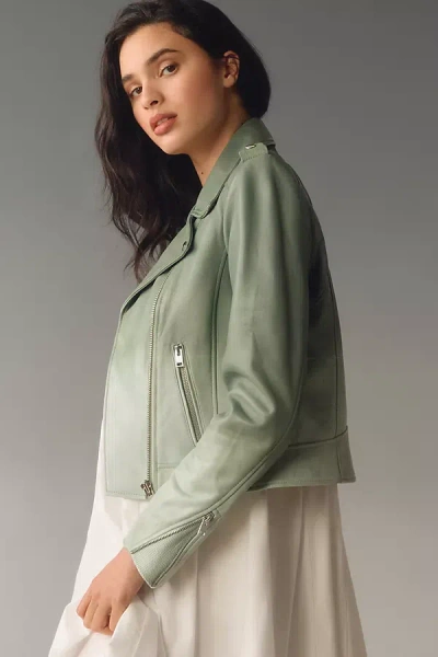 Shop Lamarque Donna Leather Jacket In Green
