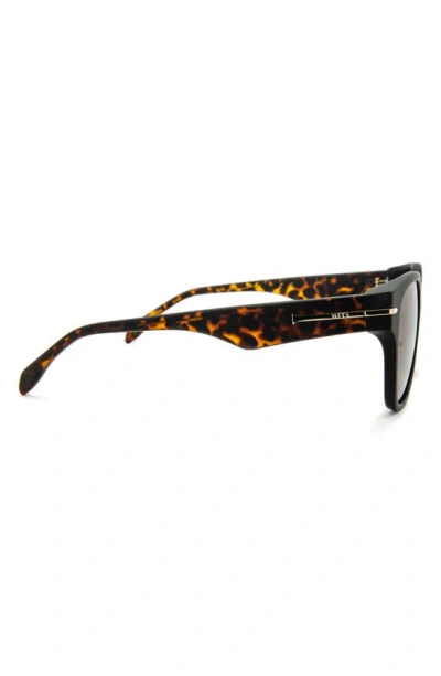 Shop Mita Sustainable Eyewear Key West 55mm Square Sunglasses In Shiny Black / Brown