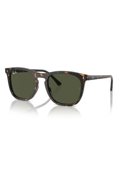 Ray Ban 53mm Square Sunglasses In Havana