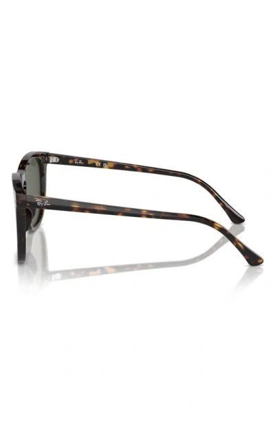 Ray Ban 53mm Square Sunglasses In Havana