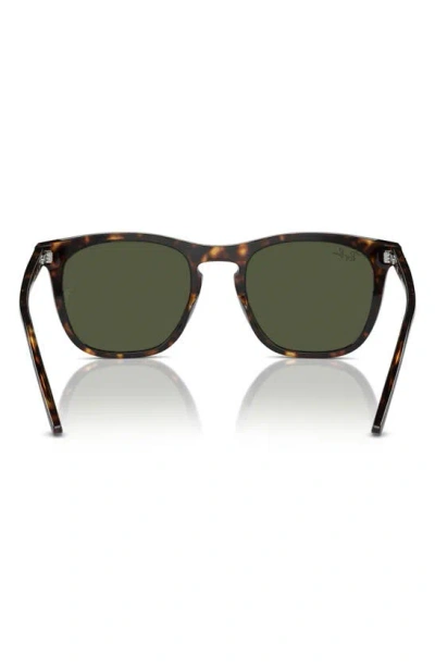Ray Ban 53mm Square Sunglasses In Havana