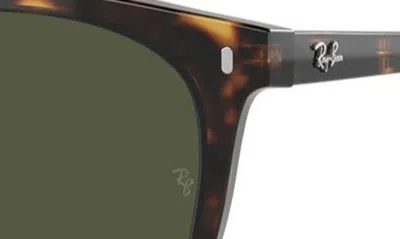 Ray Ban 53mm Square Sunglasses In Havana