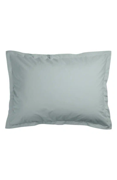 Parachute Percale Sham Set In Spa