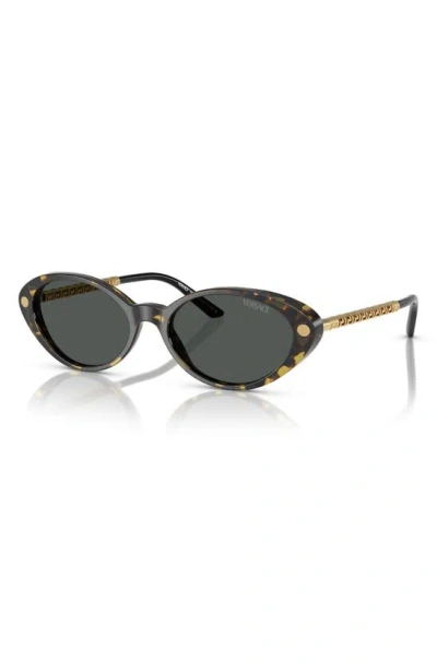 Versace 54mm Oval Sunglasses In Havana