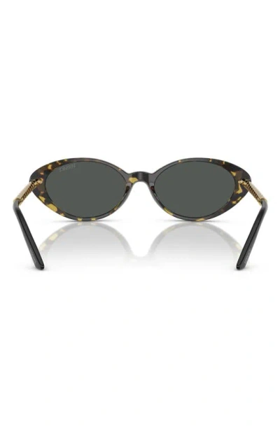 Versace 54mm Oval Sunglasses In Havana
