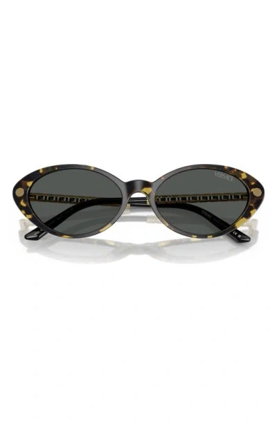 Versace 54mm Oval Sunglasses In Havana