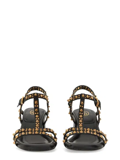 Shop Ash Sandal "janice" In Black