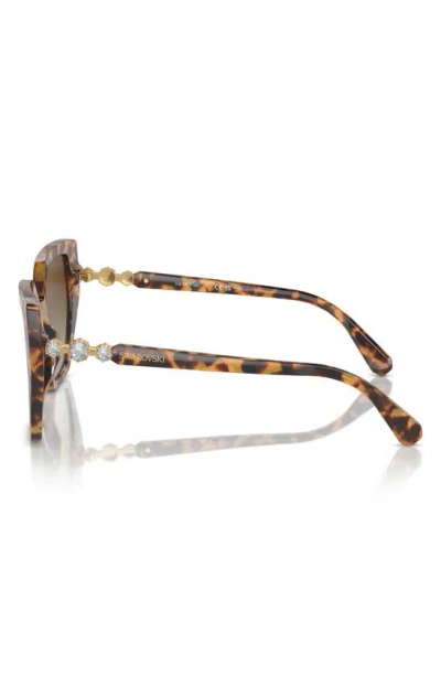 Swarovski 56mm Polarized Irregular Sunglasses In Havana Transparent