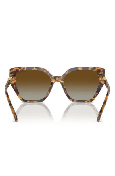 Swarovski 56mm Polarized Irregular Sunglasses In Havana Transparent
