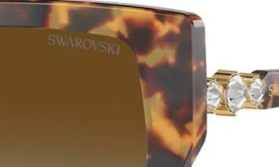 Swarovski 56mm Polarized Irregular Sunglasses In Havana Transparent