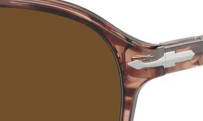 Shop Persol 53mm Polarized Pillow Sunglasses In Bordeaux