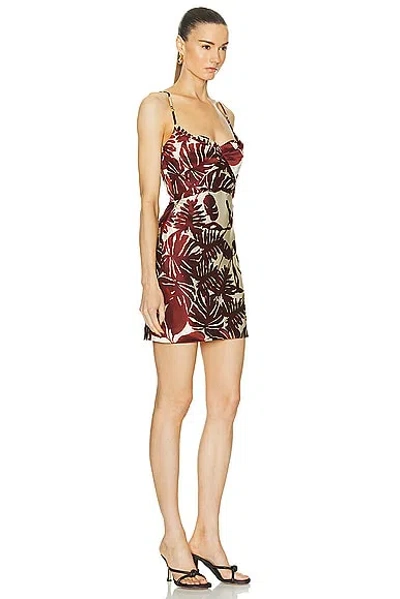 Shop Nicholas Haley Cowl Draped Mini Dress In Brick Segovia Print