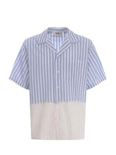 Shop Msgm Shirt  "riga" In Bianco/celeste