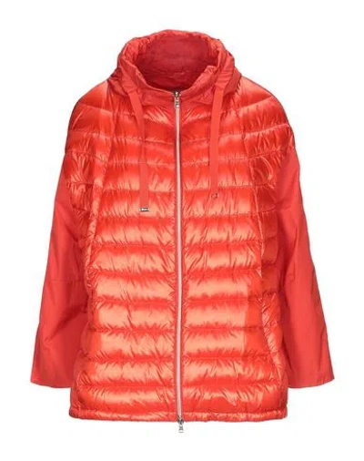 Shop Herno Woman Down Jacket Orange Size 6 Polyamide, Polyester, Cotton, Acetate