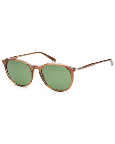 Shop Ferragamo Women's 53mm Sunglasses In Brown