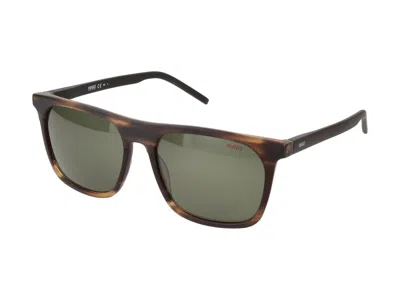 Shop Hugo Boss Sunglasses In Matt Brown Horn