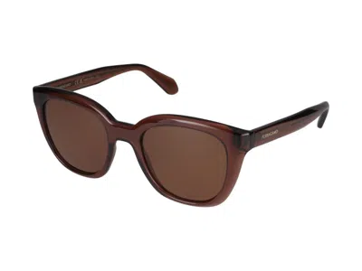 Shop Ferragamo Salvatore  Sunglasses In Transparent Brown