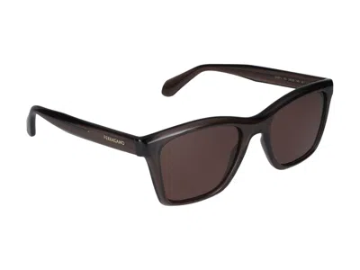 Shop Ferragamo Salvatore  Sunglasses In Transparent Brown