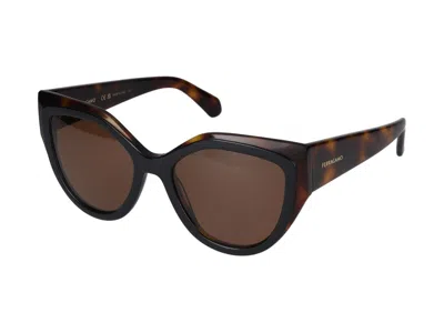 Shop Ferragamo Salvatore  Sunglasses In Tortoise/black