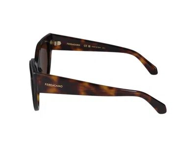 Shop Ferragamo Salvatore  Sunglasses In Tortoise/black