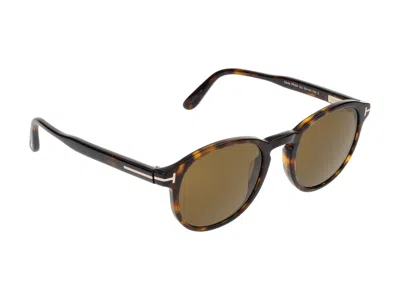 Shop Tom Ford Sunglasses In Dark Havana/roviex