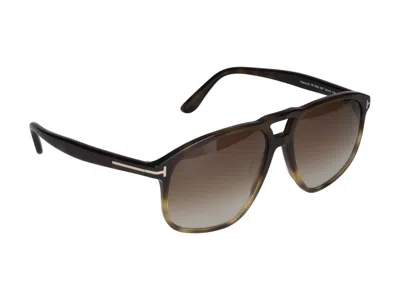 Shop Tom Ford Sunglasses In Havana/brown Grad