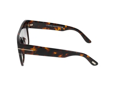 Shop Tom Ford Sunglasses In Dark Havana/smoke Grad
